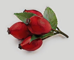 Myths About Essential Oils During Pregnancy Debunked