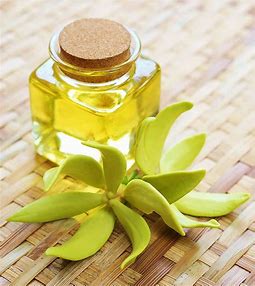 Pregnancy Scars: When to Start Treatment with Organic Products 🌿✨